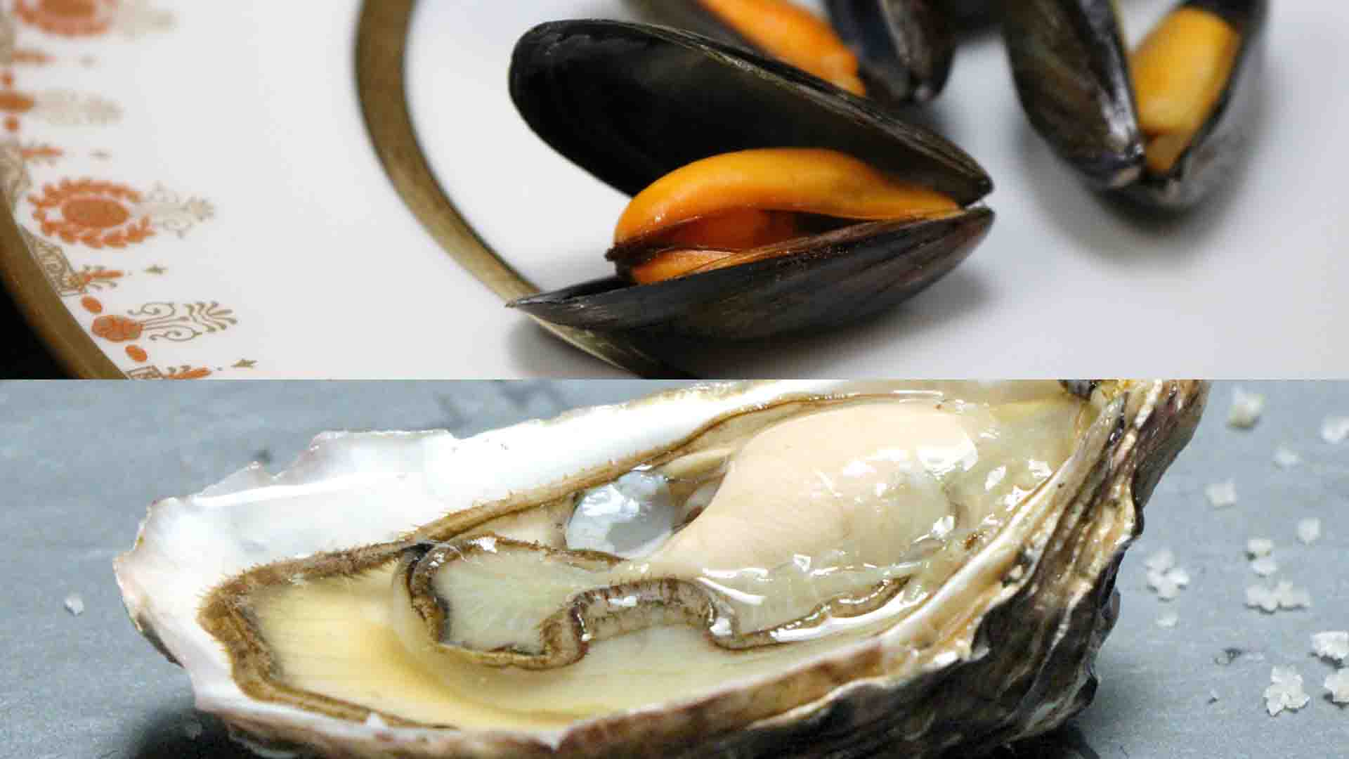 St-Vaast Oysters